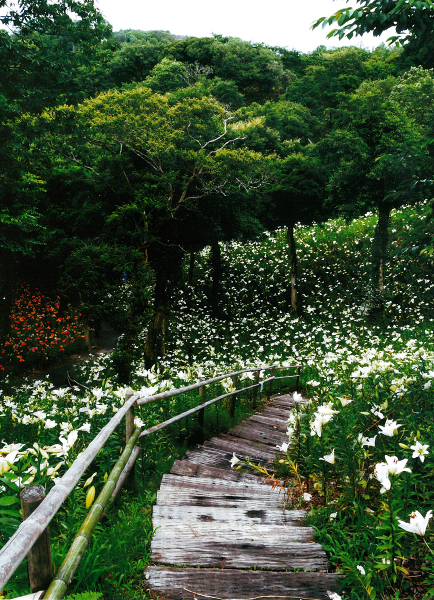 階段下れば花の園