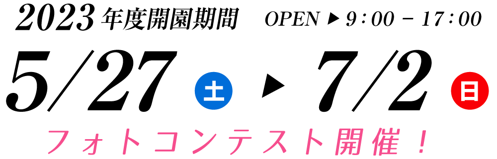 可睡ゆりの園 2023年度開園期間 5月27日（土）～7月2日（日）フォトコンテスト開催！