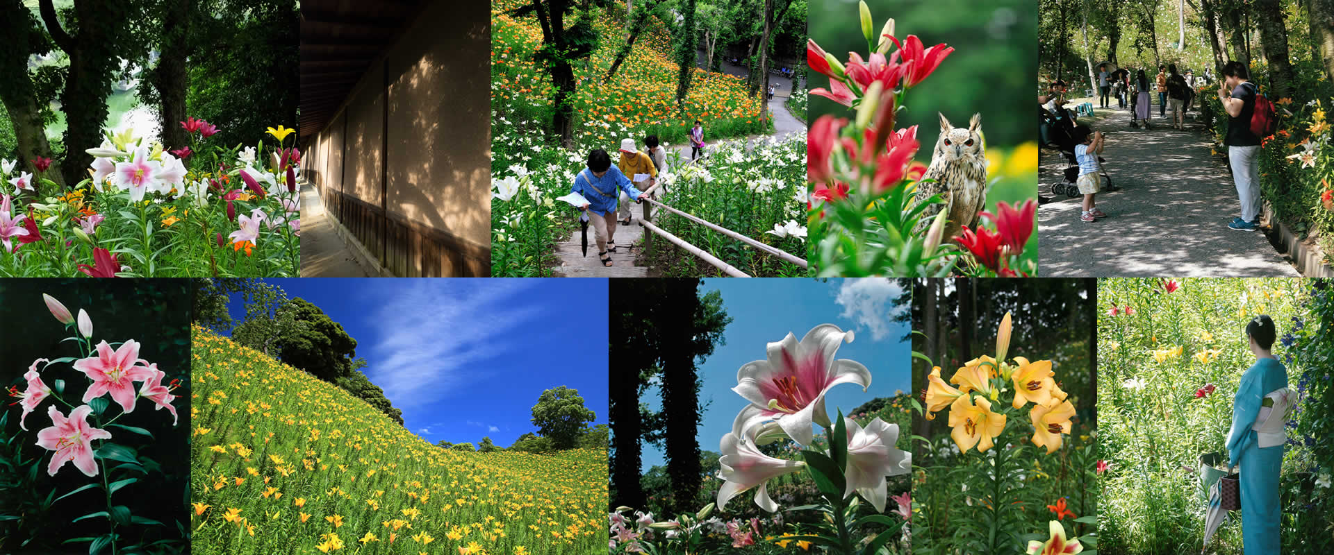 可睡ゆりの園 インスタフォトコンテスト