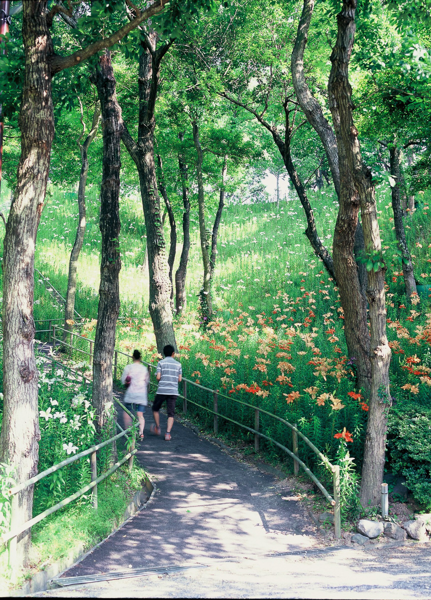 「木陰の小路」