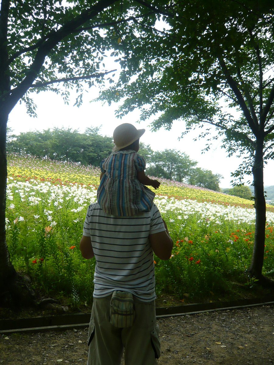 「特等席からの眺め」