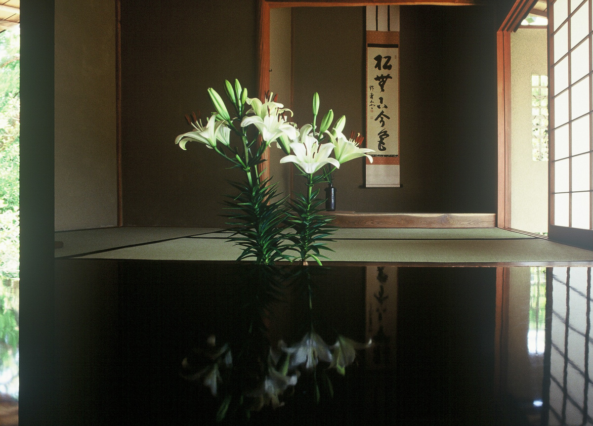 「和（なごみ）」
