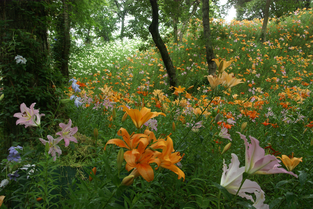 「美しき花園」