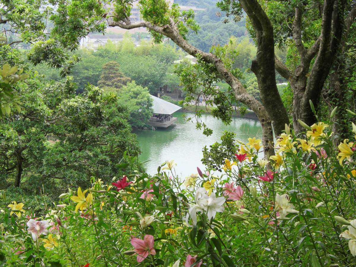 池を望む丘