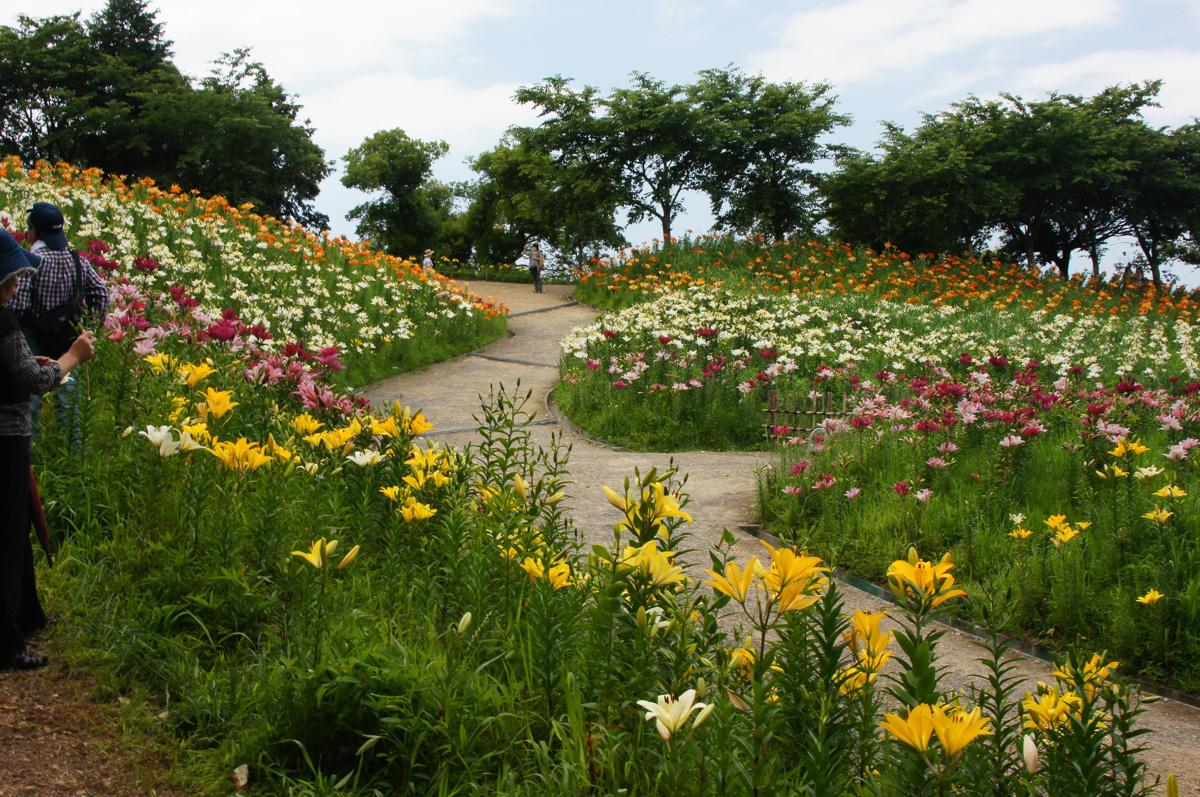 美しき花園