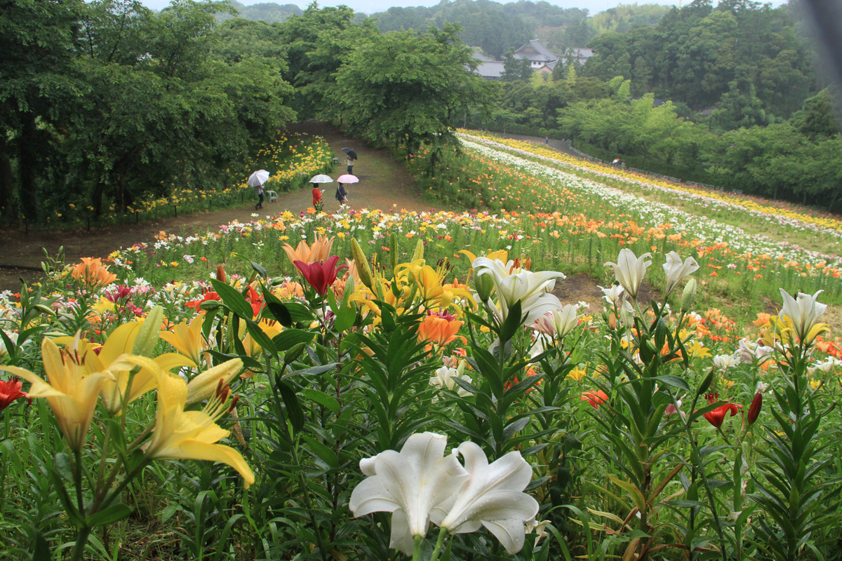 色彩の交差点
