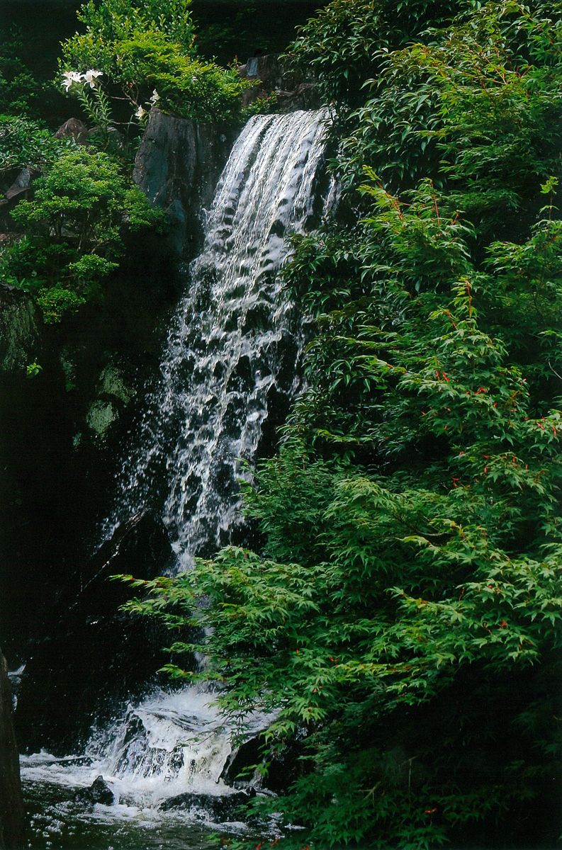 白ゆりの滝