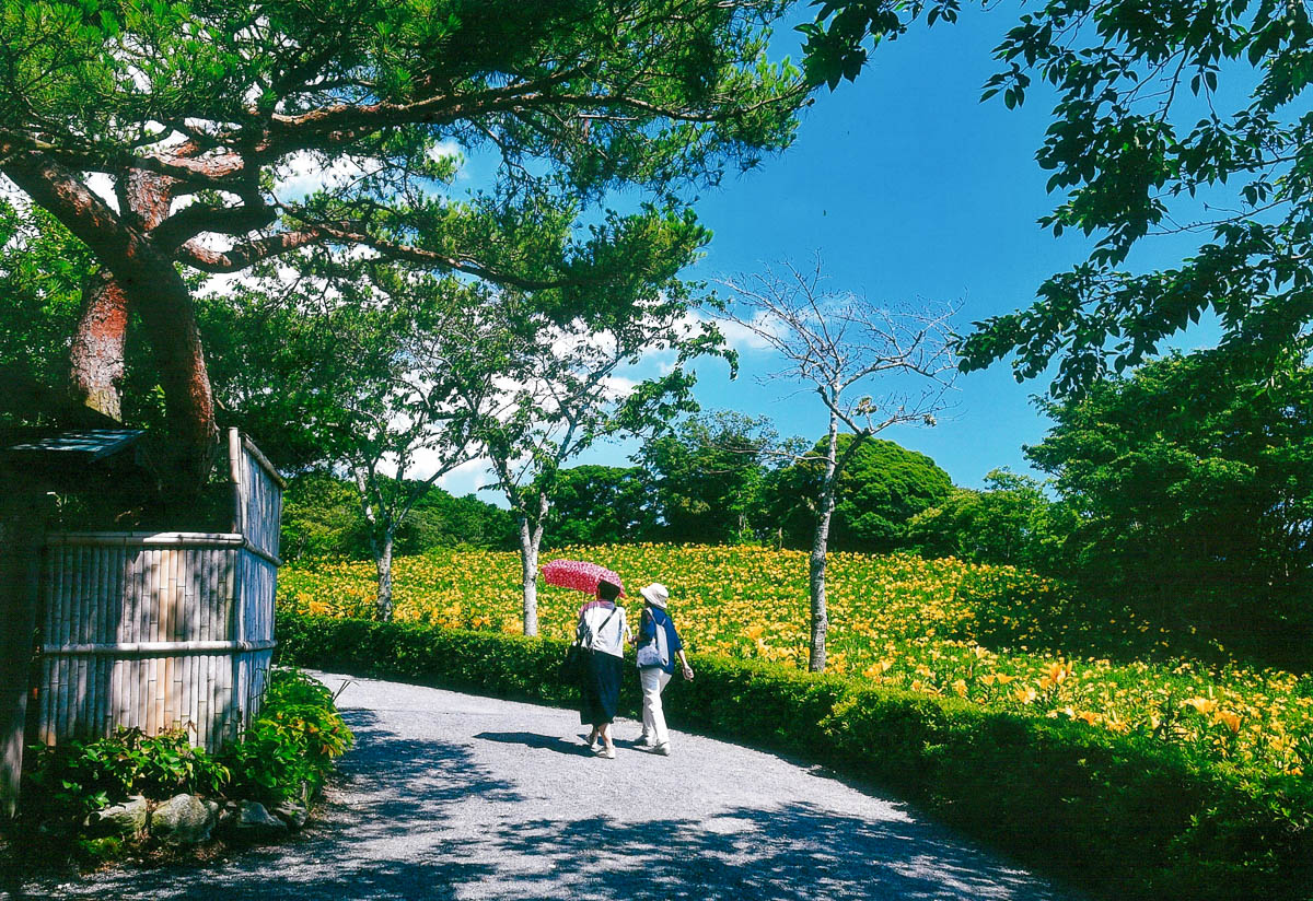 夏空に輝く