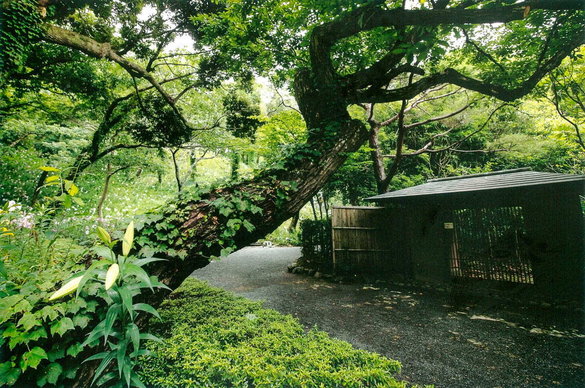 静寂