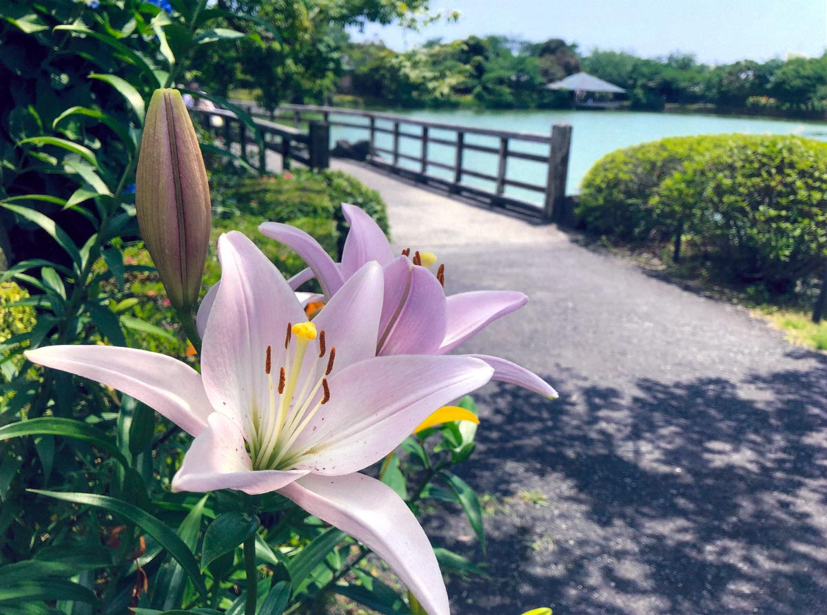 一期一会