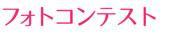 フォトコンテスト